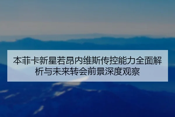 本菲卡新星若昂内维斯传控能力全面解析与未来转会前景深度观察