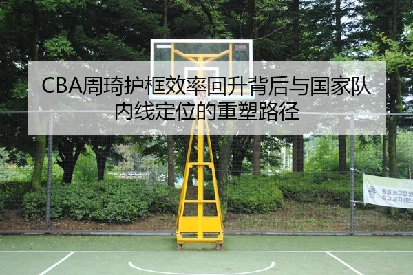 CBA周琦护框效率回升背后与国家队内线定位的重塑路径