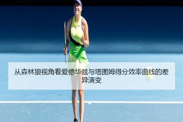从森林狼视角看爱德华兹与塔图姆得分效率曲线的差异演变