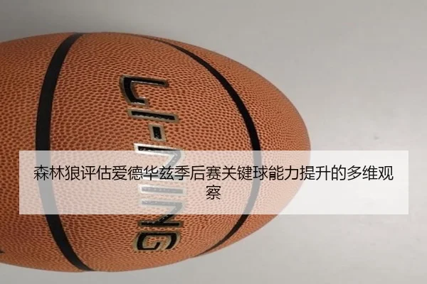 森林狼评估爱德华兹季后赛关键球能力提升的多维观察